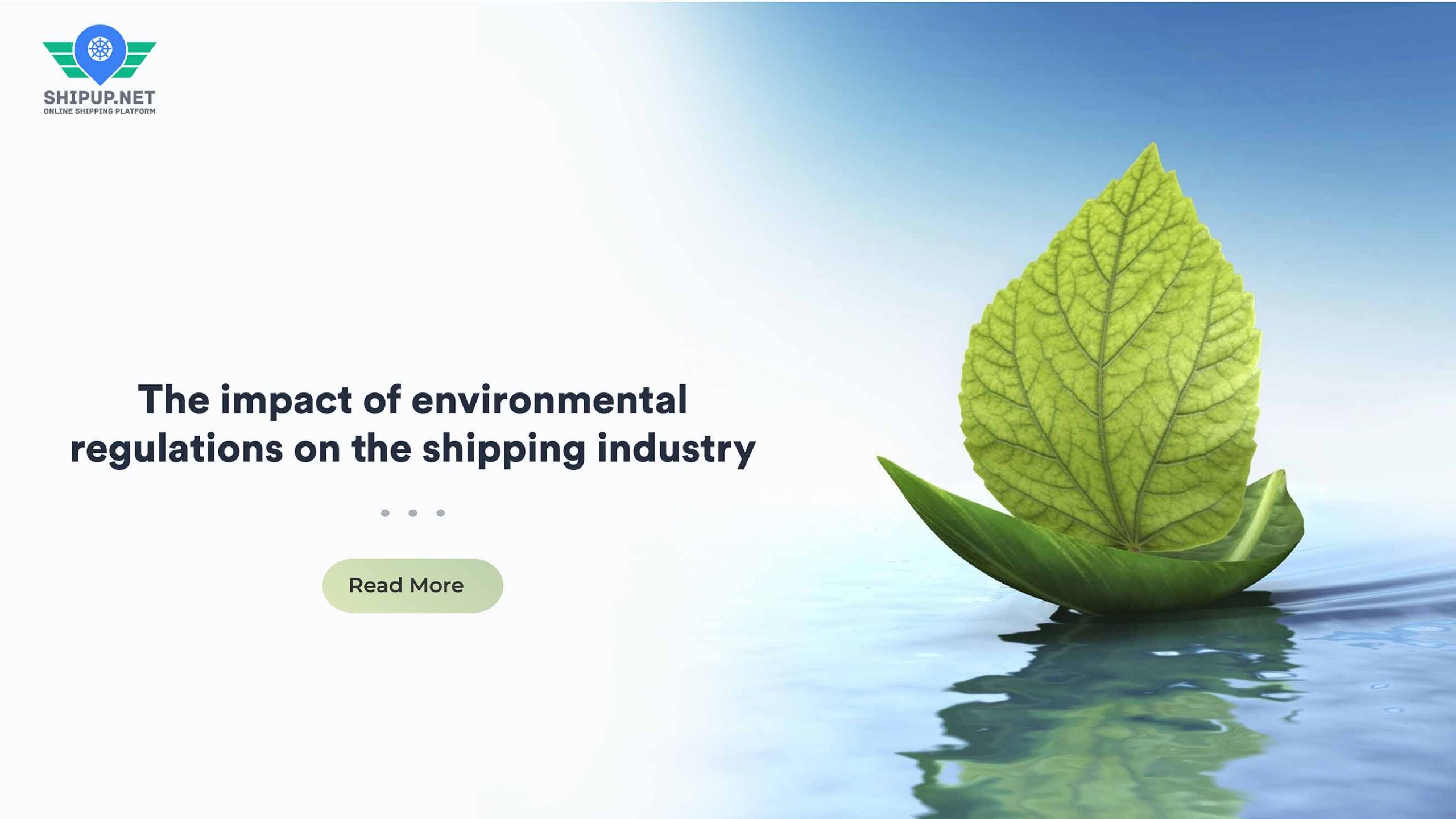 The impact of environmental regulations on the shipping industry