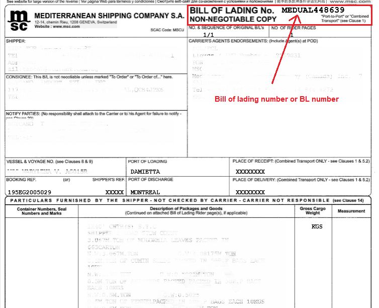 MSC Bill of lading (BL) example document, how to find MSC bl number