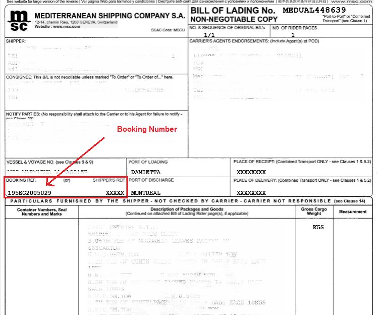 MSC Booking example document, how to find MSC booking number